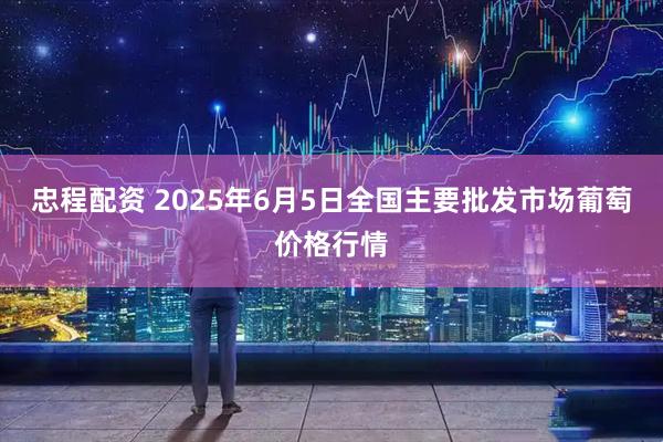 忠程配资 2025年6月5日全国主要批发市场葡萄价格行情