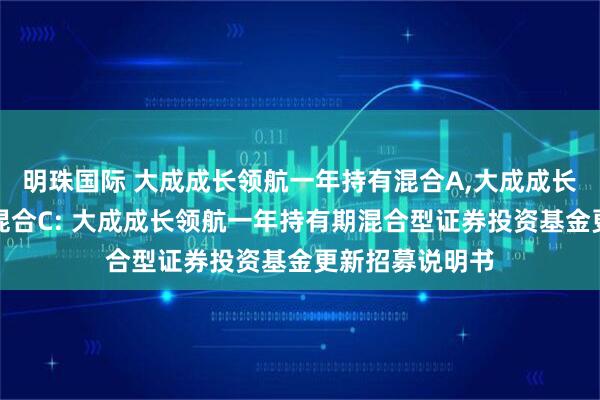 明珠国际 大成成长领航一年持有混合A,大成成长领航一年持有混合C: 大成成长领航一年持有期混合型证券投资基金更新招募说明书