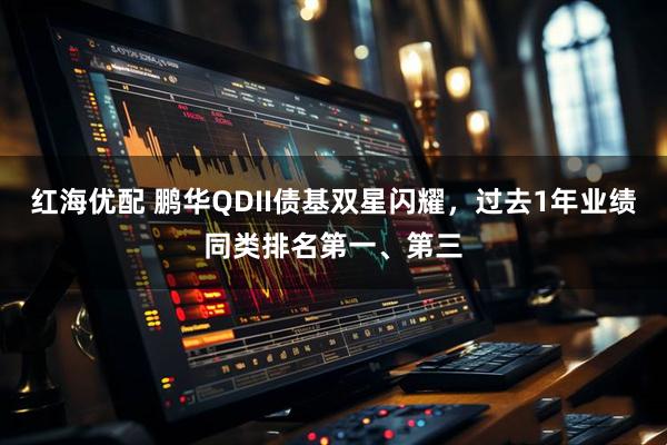 红海优配 鹏华QDII债基双星闪耀，过去1年业绩同类排名第一、第三