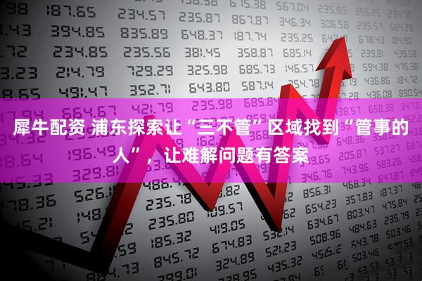 犀牛配资 浦东探索让“三不管”区域找到“管事的人”，让难解问题有答案