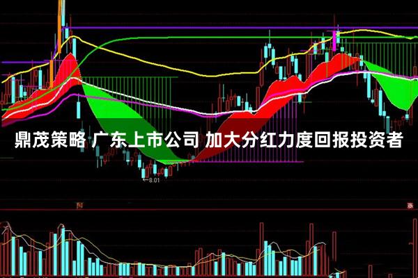 鼎茂策略 广东上市公司 加大分红力度回报投资者