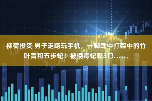 柳荷投资 男子走路玩手机，一脚踩中打架中的竹叶青和五步蛇！被俩毒蛇咬3口……