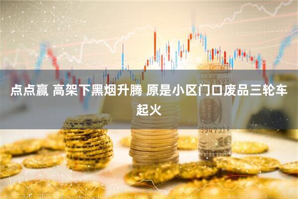 点点赢 高架下黑烟升腾 原是小区门口废品三轮车起火